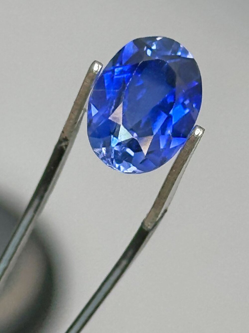 Blue Sapphire Jewel